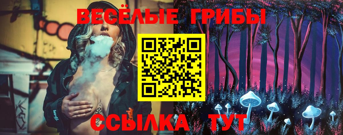 Псилоцибиновые грибы GOLDEN TEACHER  Вход с VPN  Псилоцибиновые грибы Cubensis  Чехов 