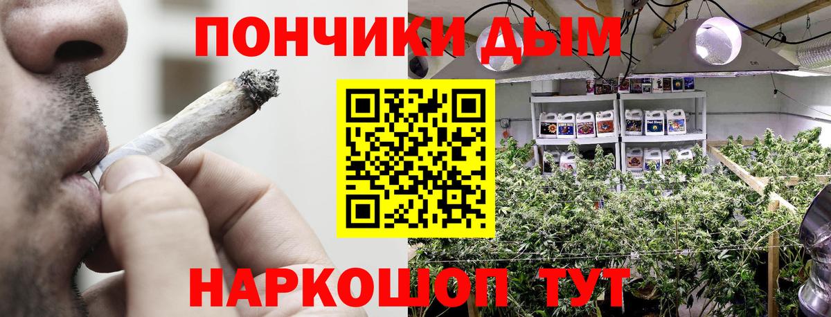 Шишки марихуана план Чехов